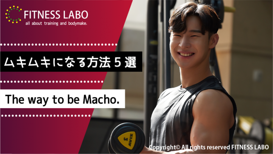ムキムキになる方法5選|効果的な筋トレメニューも徹底解説 | FITNESS LABO