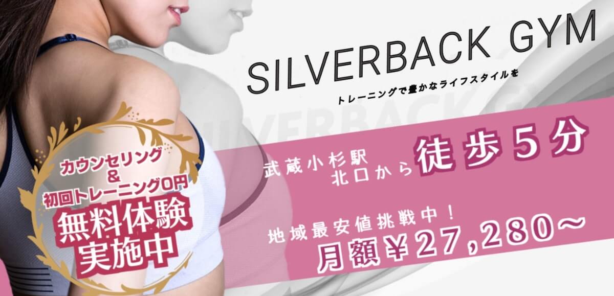 SILVER BACK GYM